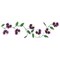Pansy Flower Wall Stencil | 3172 by Designer Stencils | Floral Stencils | Reusable Art Craft Stencils for Painting on Walls, Canvas, Wood | Reusable Plastic Paint Stencil for Home Makeover | Easy to Use & Clean Art Stencil